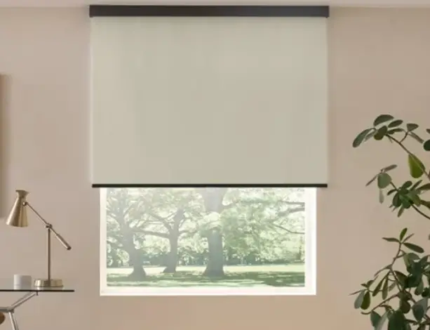 Roller_Shades_613x470